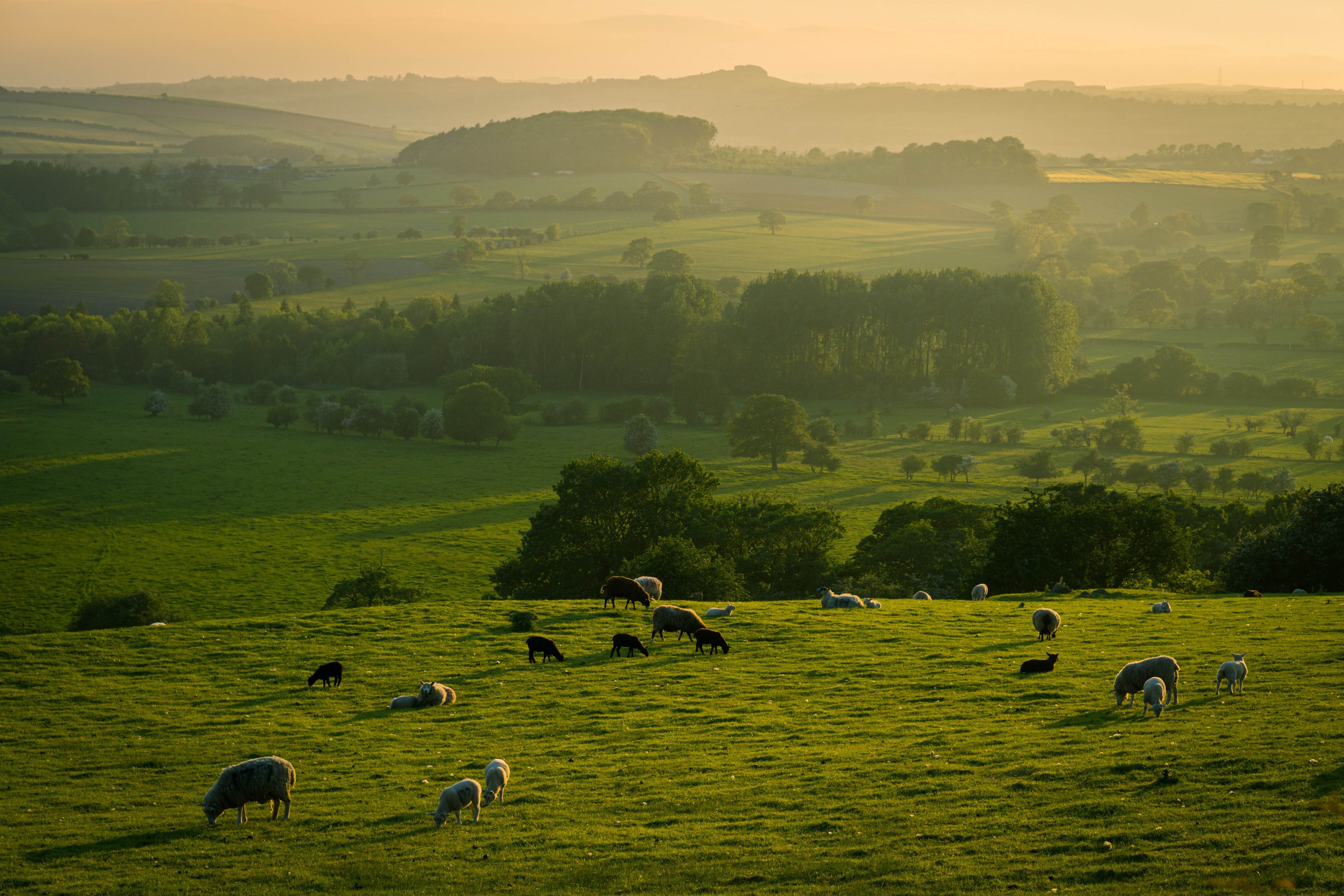 yorkshire dales