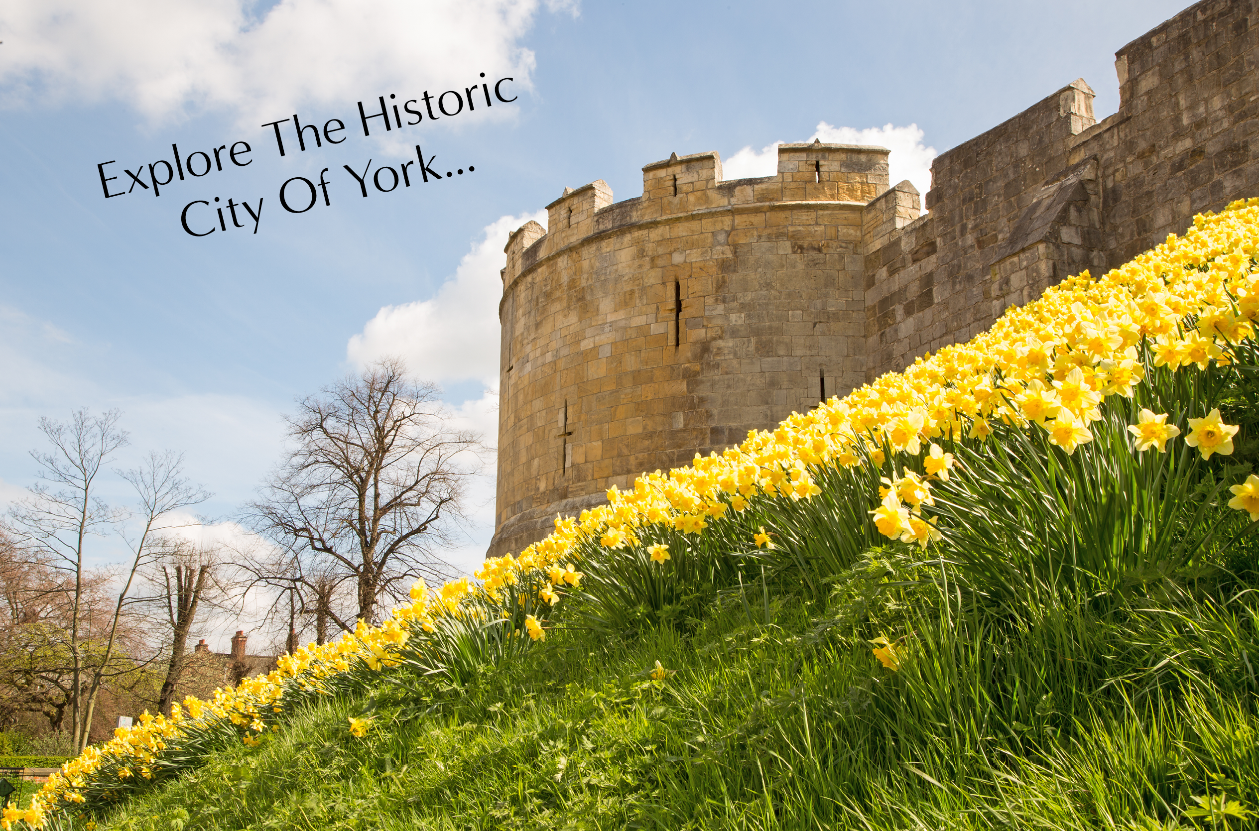 York area